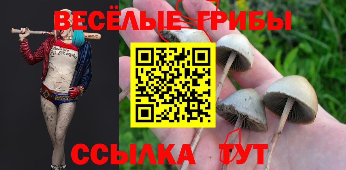 Псилоцибиновые грибы мухоморы Камышлов