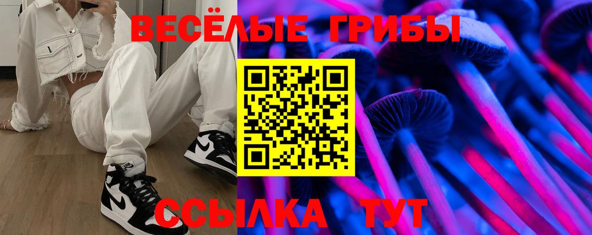 купить закладку  Галлюциногенные грибы MAGIC MUSHROOMS  Вход с VPN  Псилоцибиновые грибы Cubensis  Камышлов 